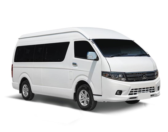 Qoray Electric 4-wheeler Bear