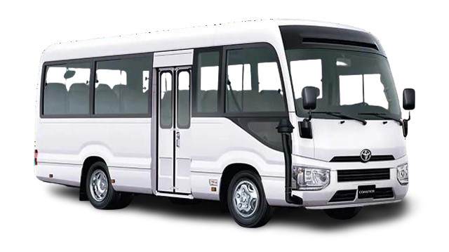 Qoray Electric 4-wheeler Oak